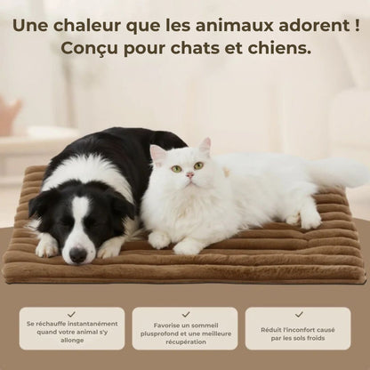 Tapis CocoonWarm – Chaleur naturelle pour chien & chat