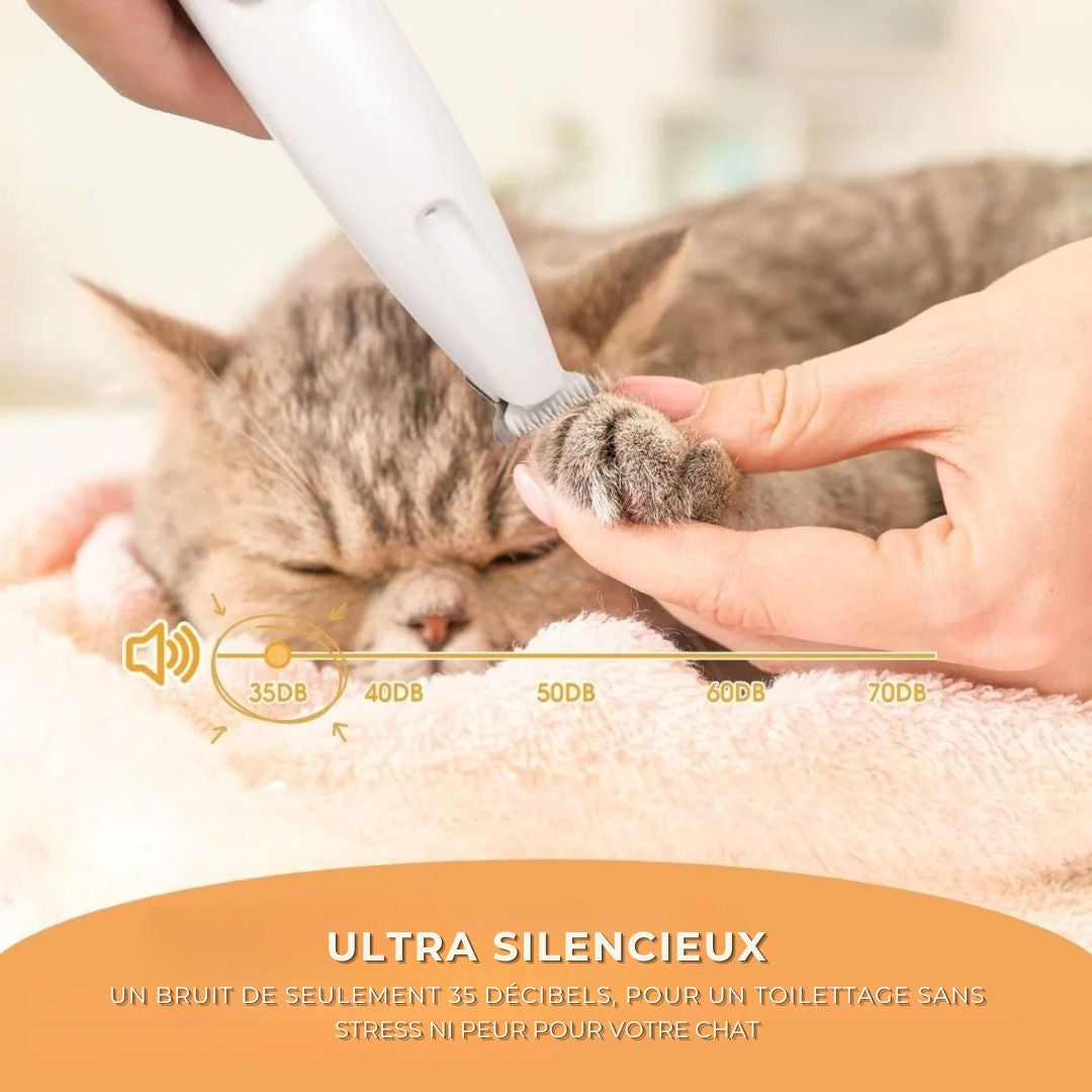 SoftPaws™ – Le soin doux et silencieux pour votre chat
