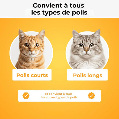 Brosse Anti-Poils Premium – Nettoyage Rapide & Doux pour Chats