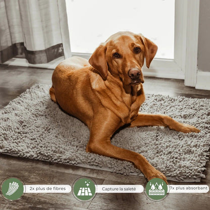 Tapis Absorbant Premium – Propreté garantie pour votre intérieur