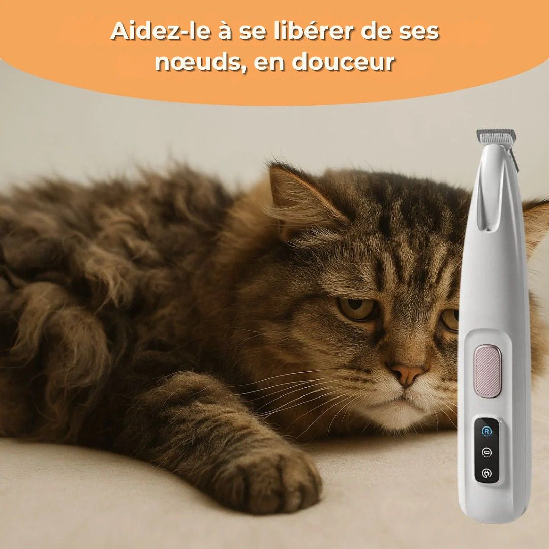 SoftPaws™ – Le soin doux et silencieux pour votre chat
