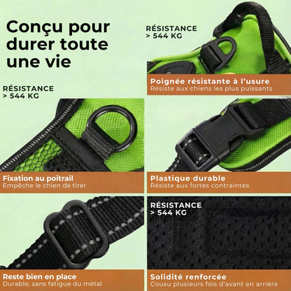 GlowGuard – Sécurité et visibilité pour les sorties nocturnes