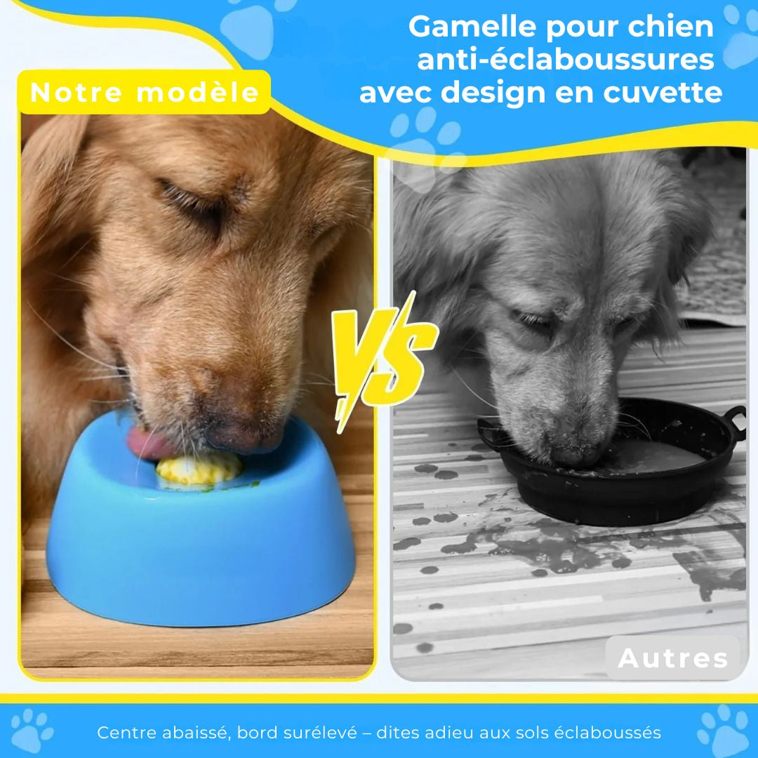 Gamelle anti-glouton pour chien – Des repas plus calmes, sans dégâts