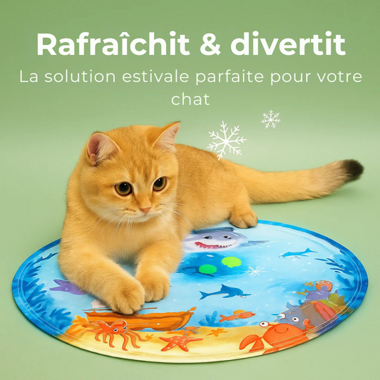 Tapis Aquafraîcheur pour Chats – Offrez fraîcheur et jeu à votre félin
