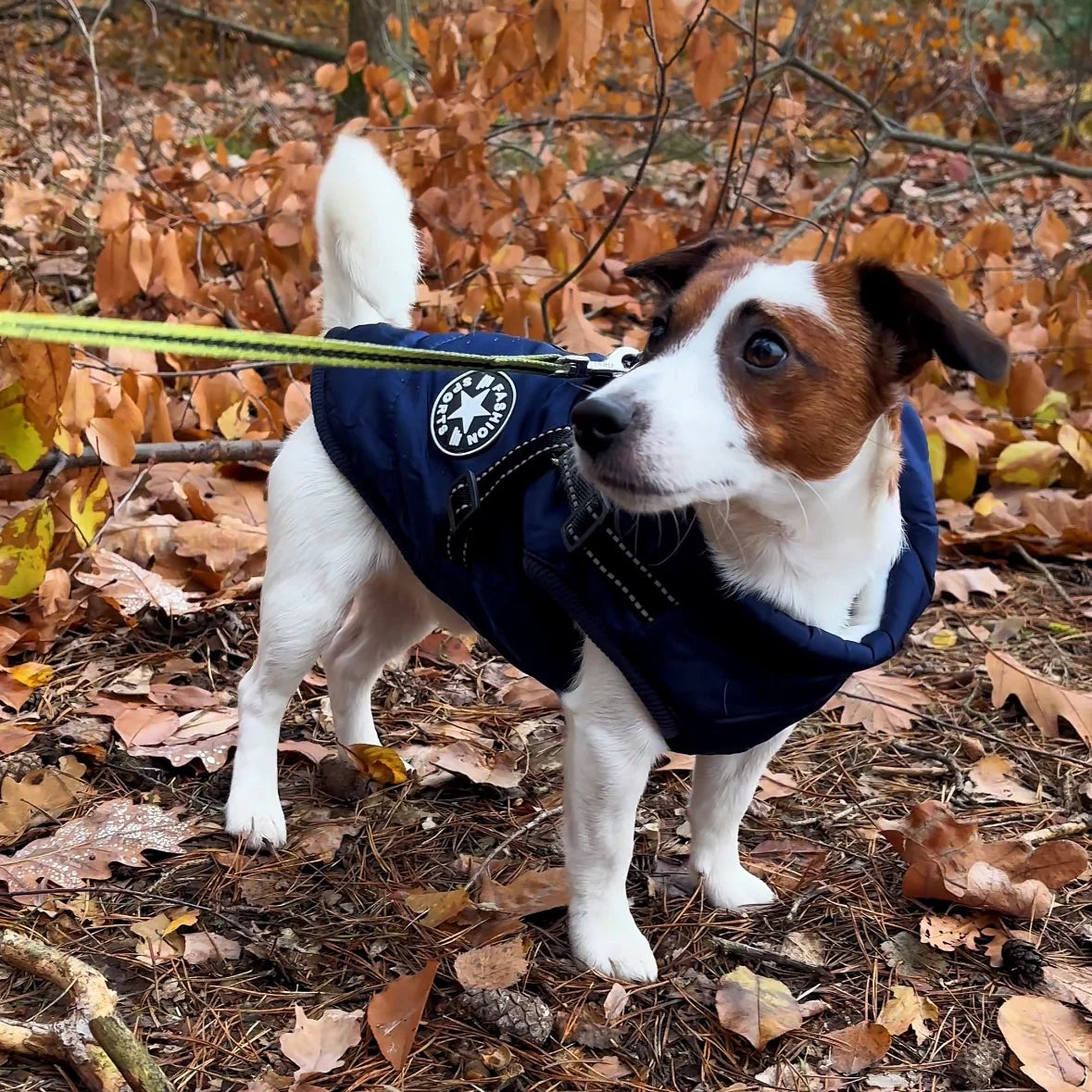 Manteau Hiver NordPaws – Protège ton chien avec style