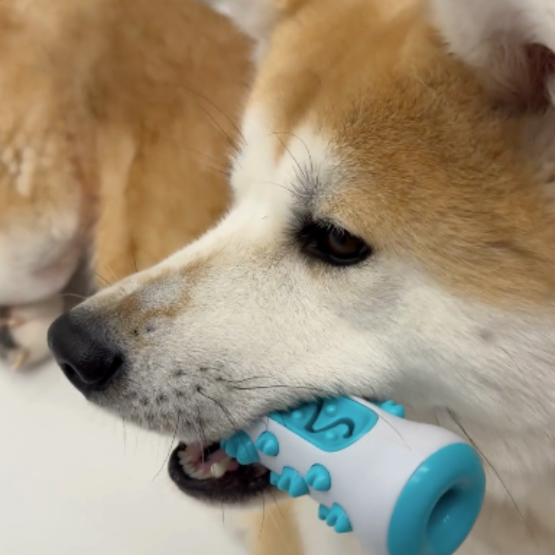 Jouet à Mâcher Nettoyant – Des dents saines pour votre chien