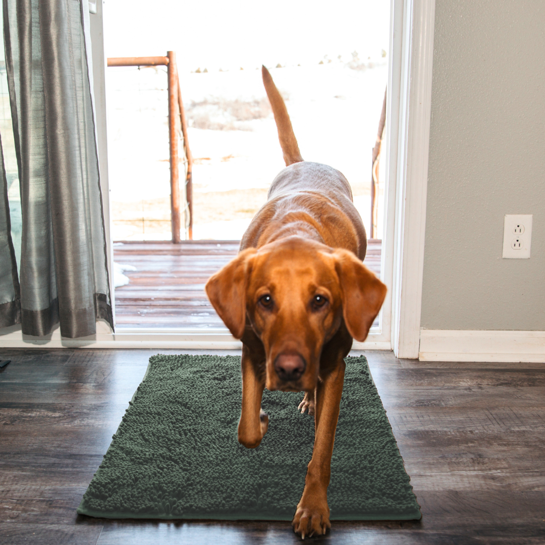 Tapis Absorbant Premium – Propreté garantie pour votre intérieur