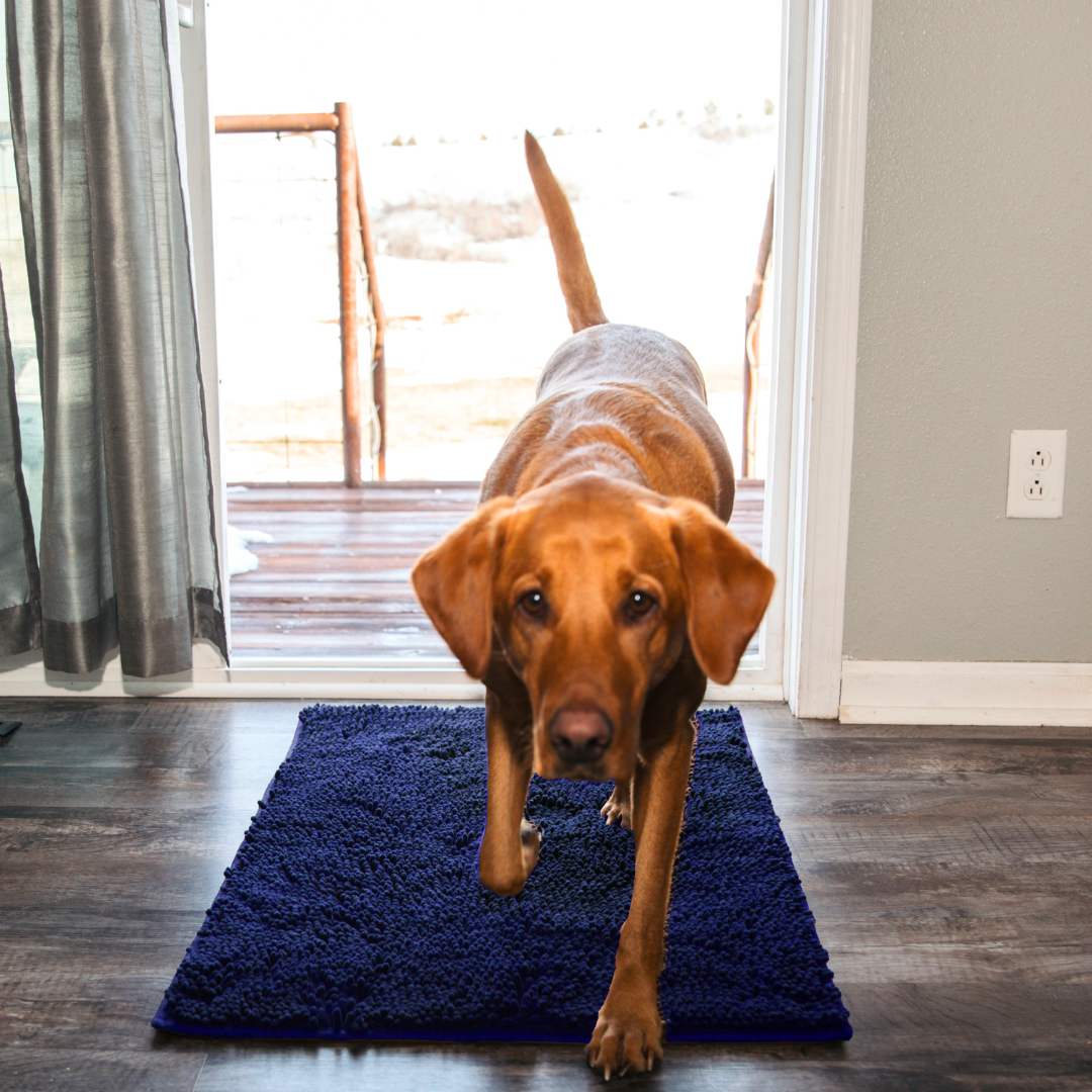 Tapis Absorbant Premium – Propreté garantie pour votre intérieur