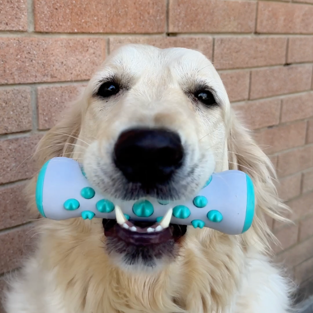 Jouet à Mâcher Nettoyant – Des dents saines pour votre chien