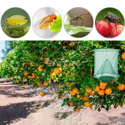 Piège à Insectes Extérieur – Protégez votre jardin sans produits chimiques