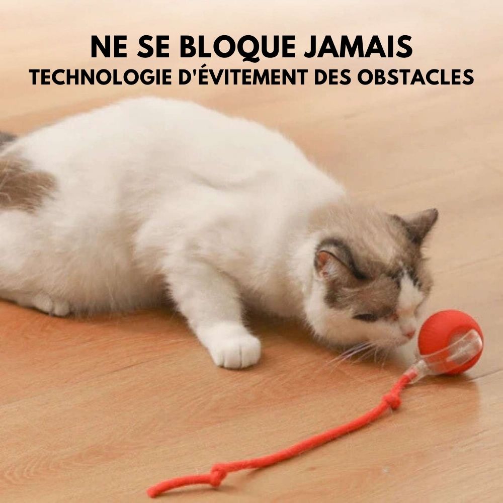 Power-Ball – La Balle Interactive Inarrêtable