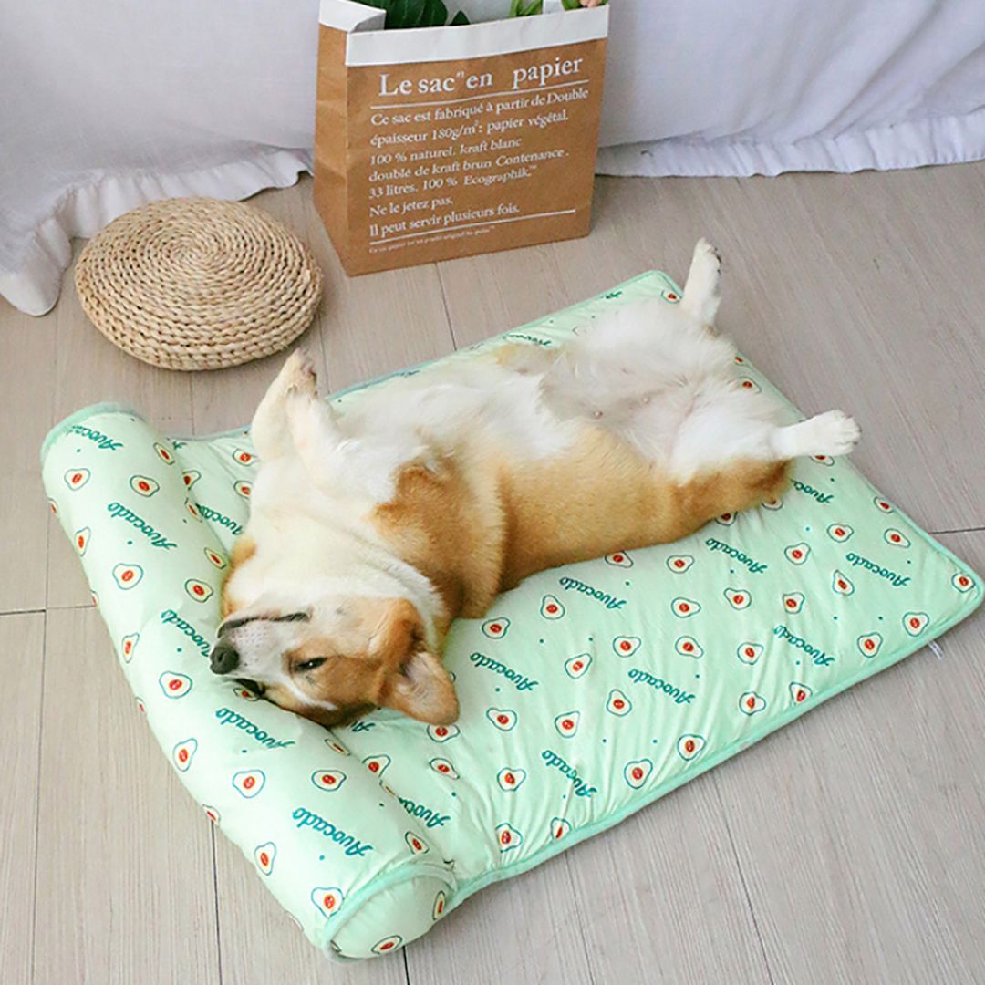 Matelas Fraîcheur – Offrez à votre compagnon un été tout en fraîcheur