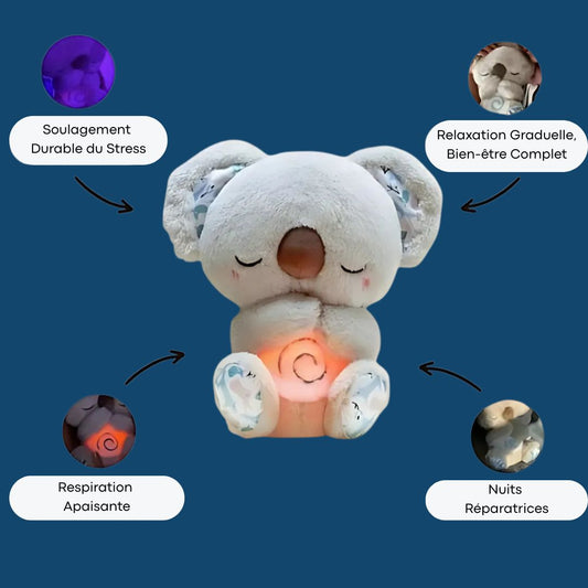 Koala Apaisant – Endormez-vous en toute sérénité