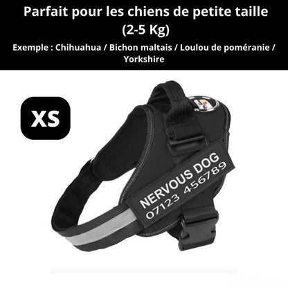 Harnais ComfortPro – Offrez à votre chien un confort inégalé !