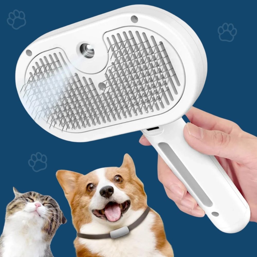 HydroBrush - Dites adieu aux poils morts et à la peau sèche