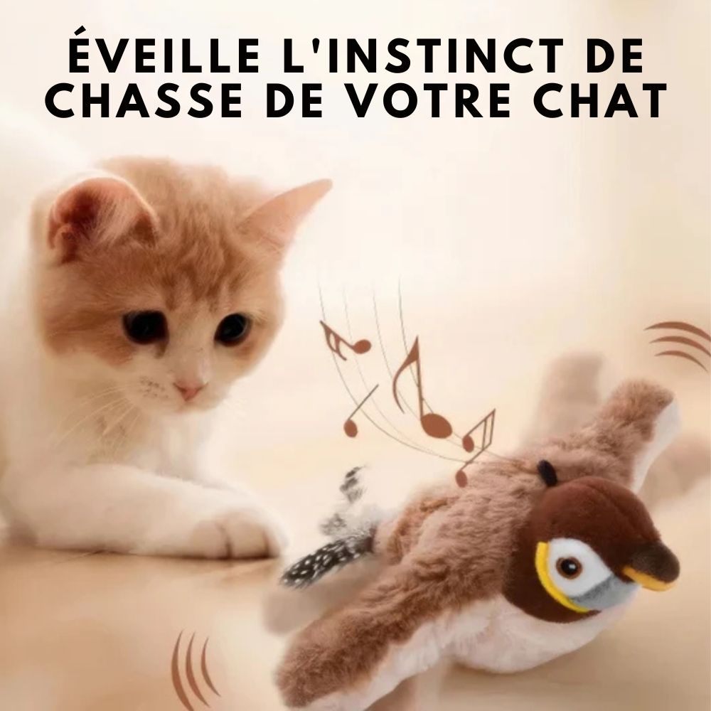 HappyBird – Stimulation pour votre compagnon