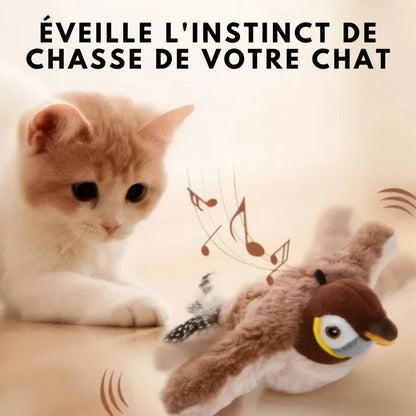 HappyBird – Stimulation pour votre compagnon