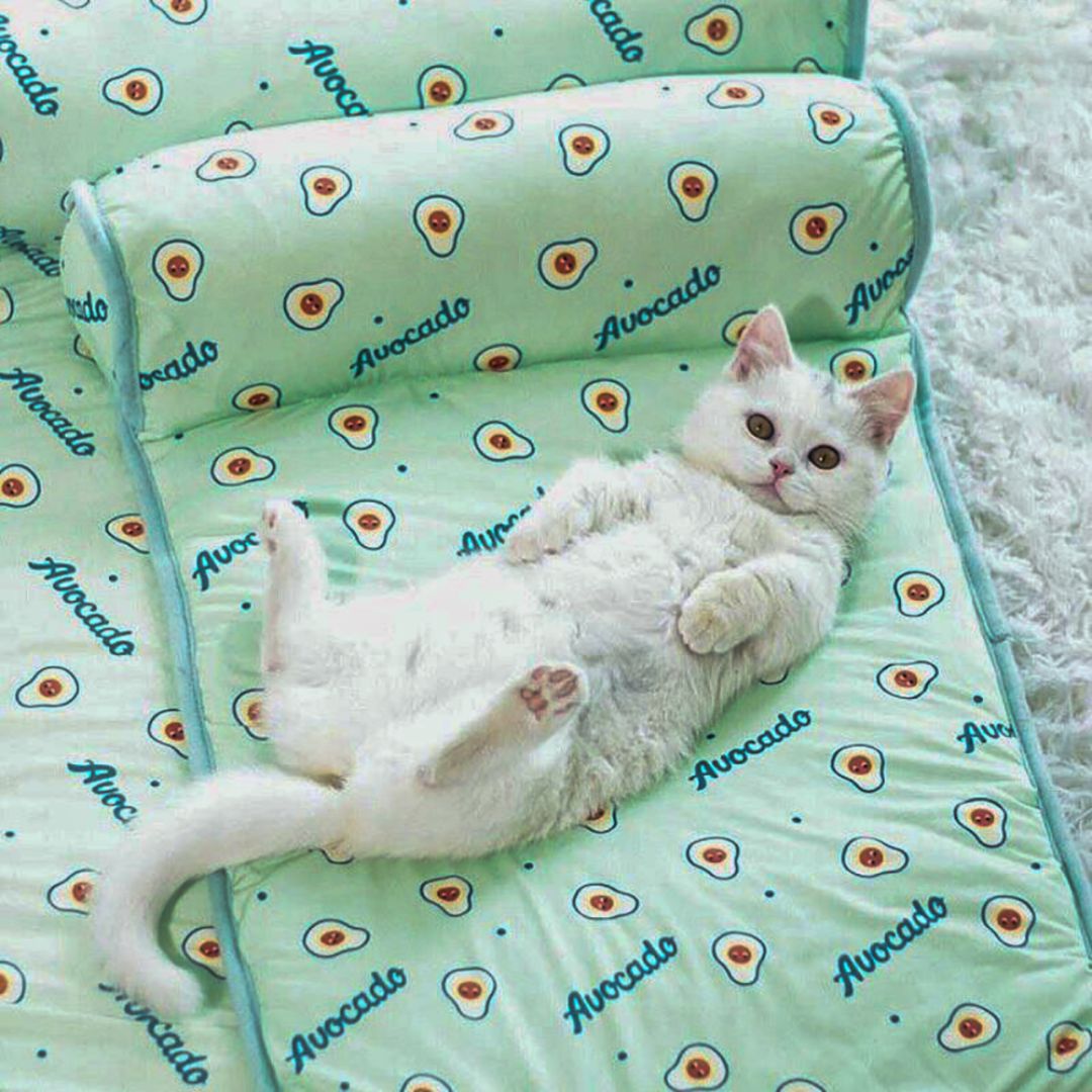 Matelas Fraîcheur – Offrez à votre compagnon un été tout en fraîcheur