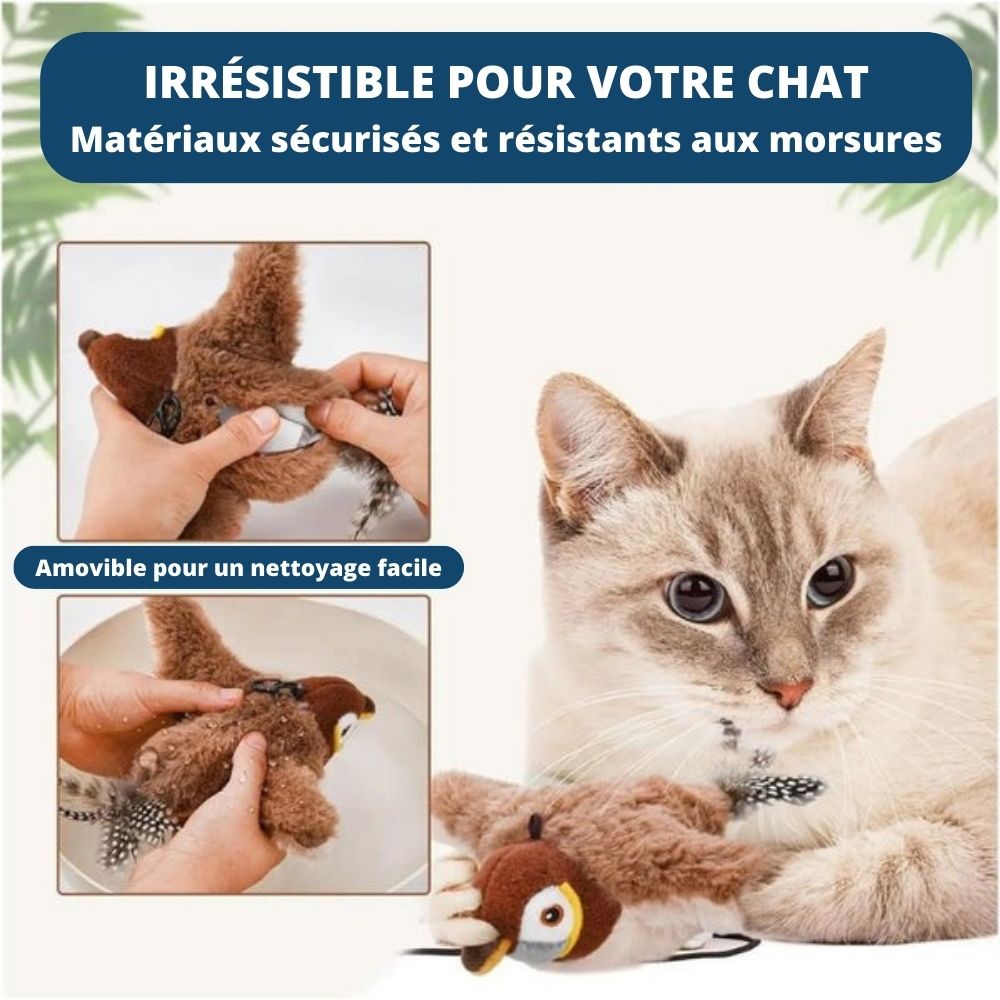 HappyBird – Stimulation pour votre compagnon