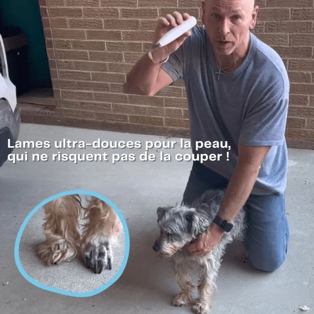 Tondeuse DoucePatte – Des coussinets nets, sans stress