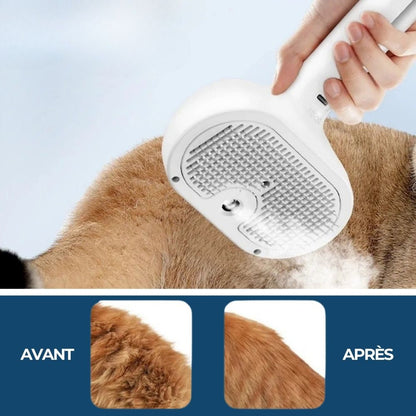 HydroBrush - Dites adieu aux poils morts et à la peau sèche