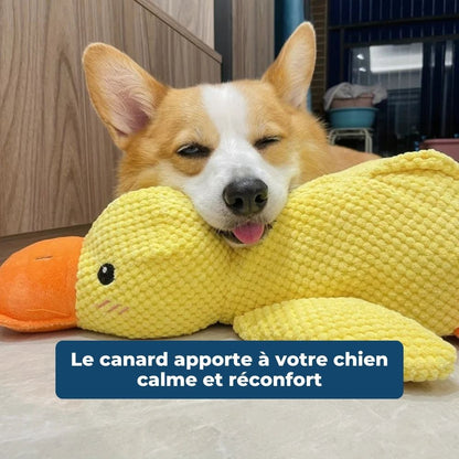 Calming Duck - Le Canard Anti-Stress