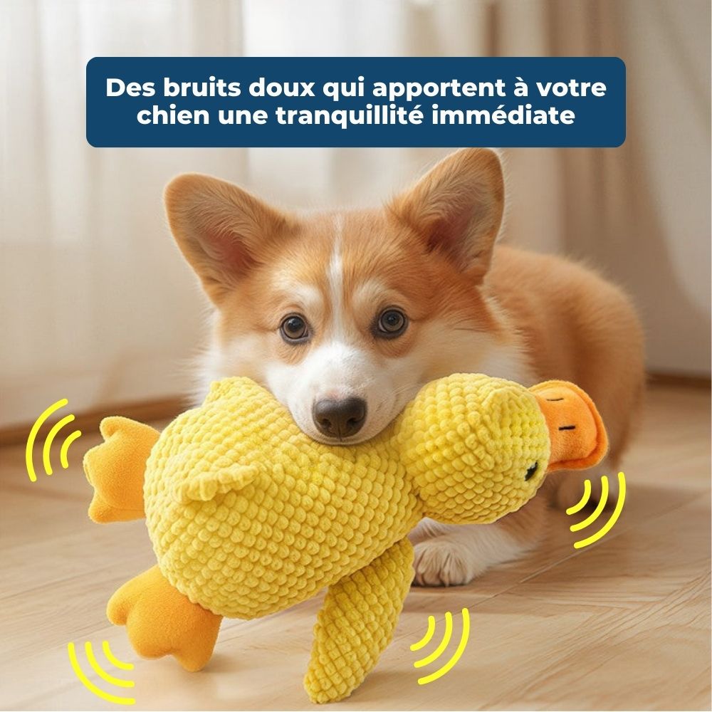 Calming Duck - Le Canard Anti-Stress
