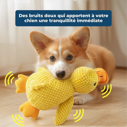 Calming Duck - Le Canard Anti-Stress