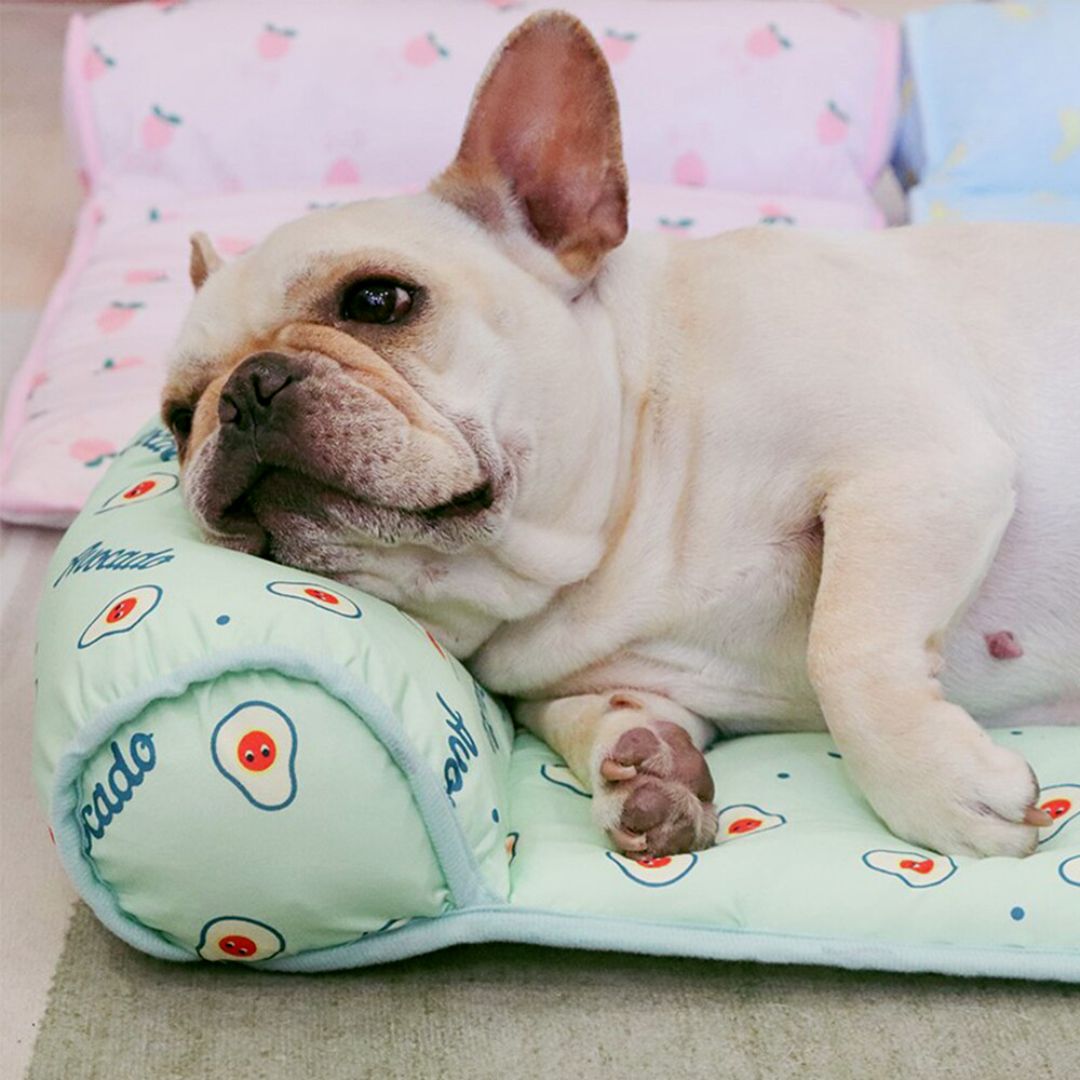 Matelas Fraîcheur – Offrez à votre compagnon un été tout en fraîcheur