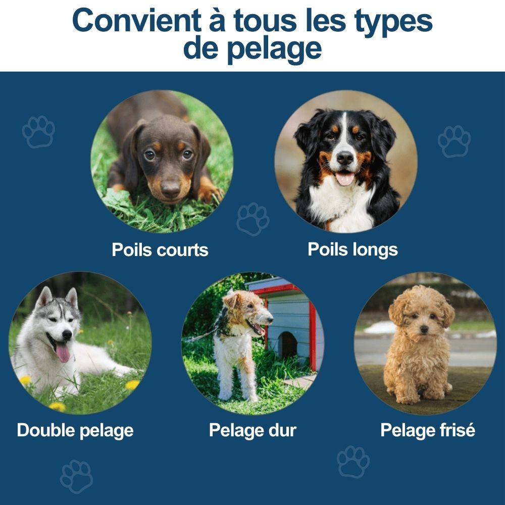 MagicBrush - La Brosse Miracle du Pelage