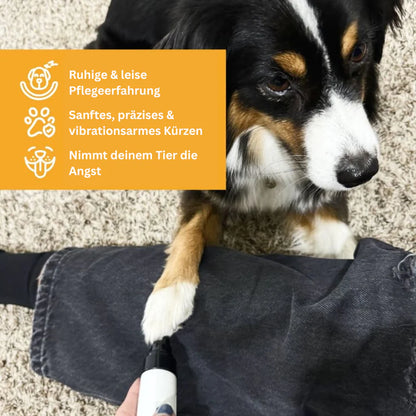 Krallen-Schleifer für Hunde – Sanfte Pflege, stressfreies Ergebnis