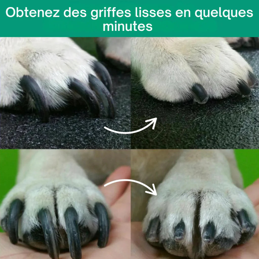 PetCare 2-en-1 – Taillez & limez les griffes sans stress