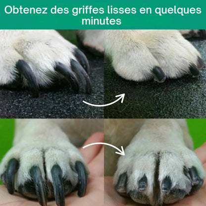 PetCare 2-en-1 – Taillez & limez les griffes sans stress