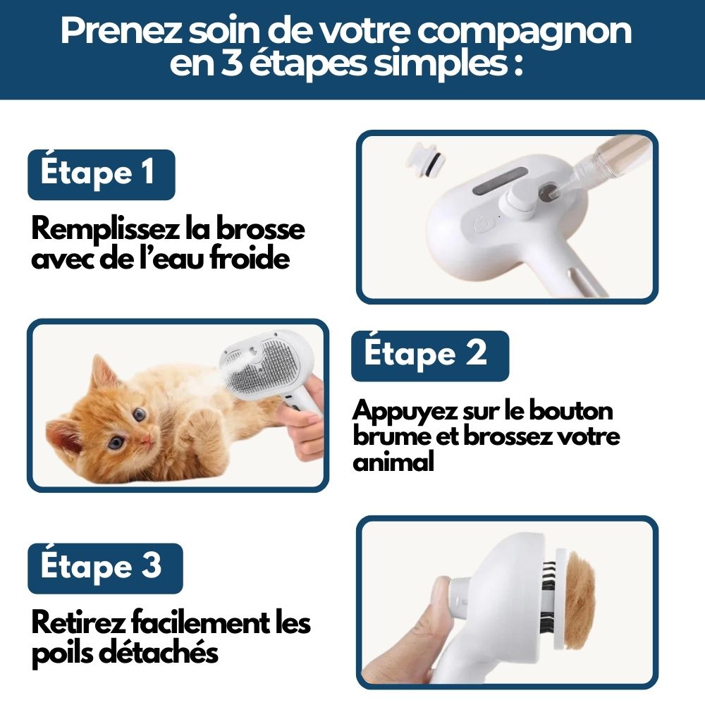 HydroBrush - Dites adieu aux poils morts et à la peau sèche