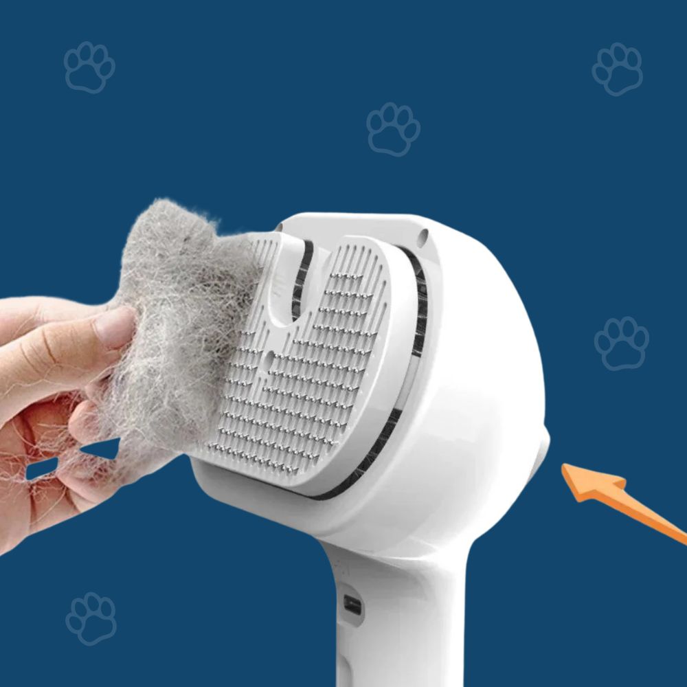 HydroBrush - Dites adieu aux poils morts et à la peau sèche