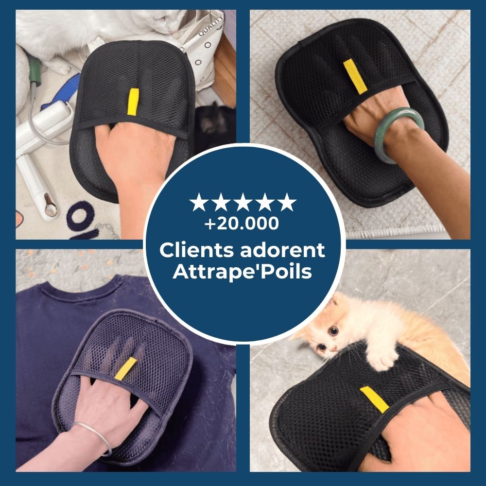 Gant Attrape'Poils – Poils disparus en un geste