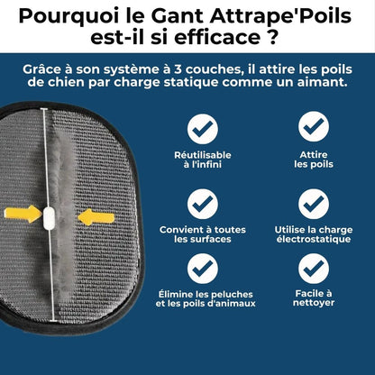Gant Attrape'Poils – Poils disparus en un geste
