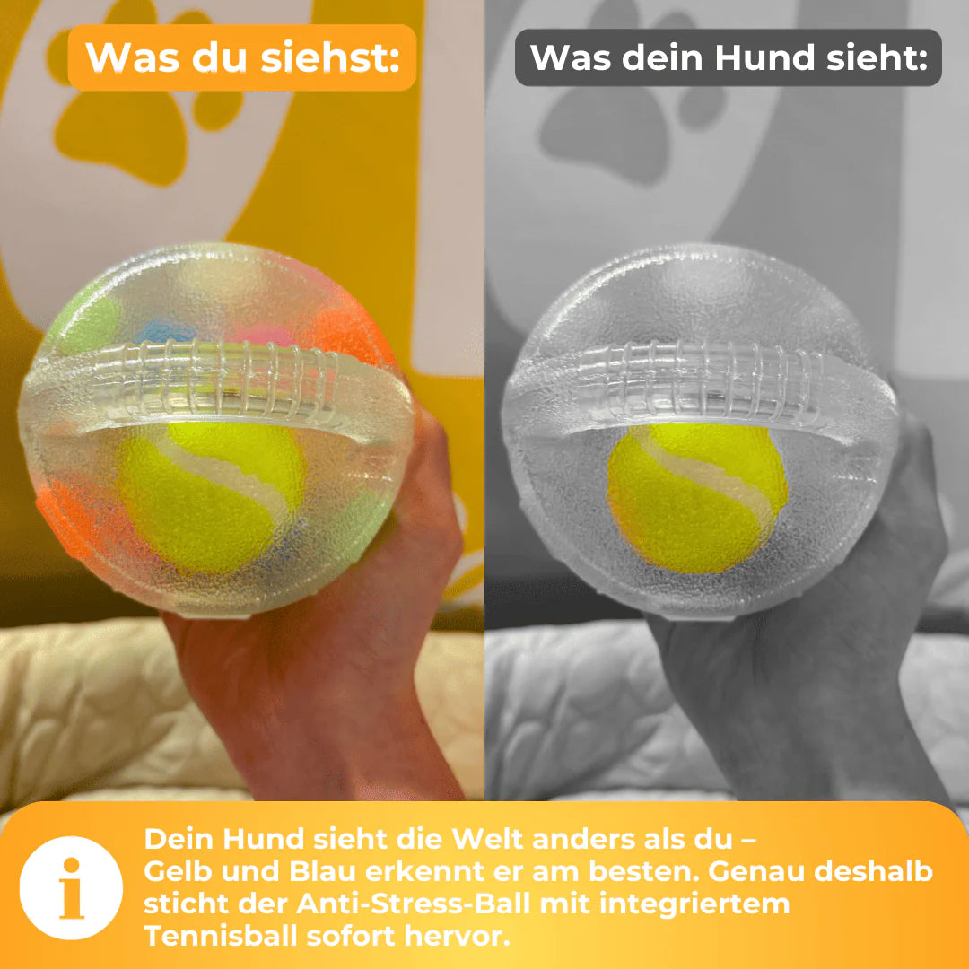 Anti-Langeweile-Ball – Für mehr Ruhe & Spaß im Alltag