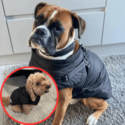 Manteau Hiver NordPaws – Protège ton chien avec style