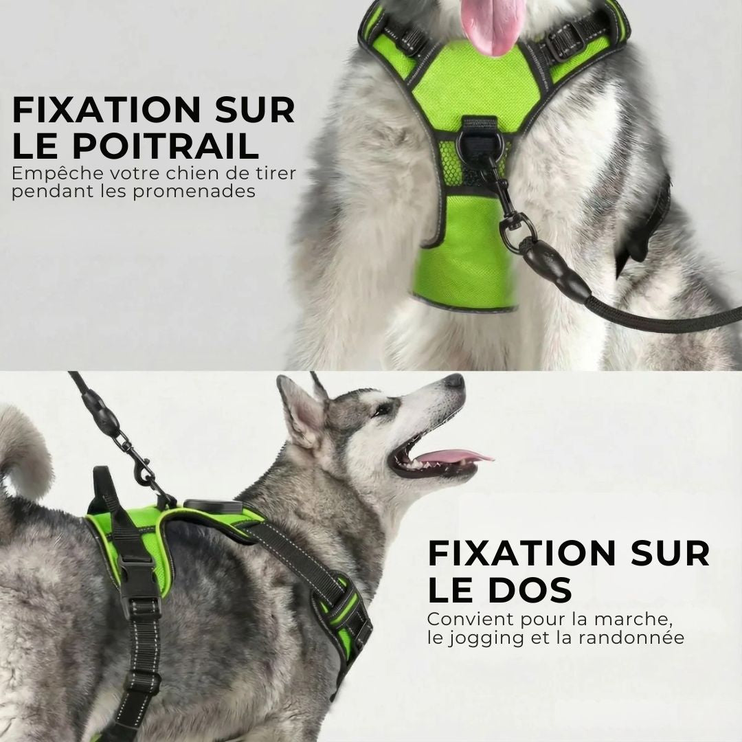 GlowGuard – Sécurité et visibilité pour les sorties nocturnes