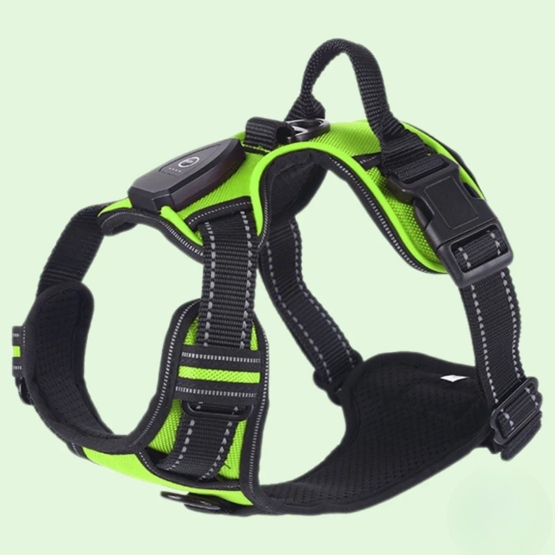 GlowGuard – Sécurité et visibilité pour les sorties nocturnes