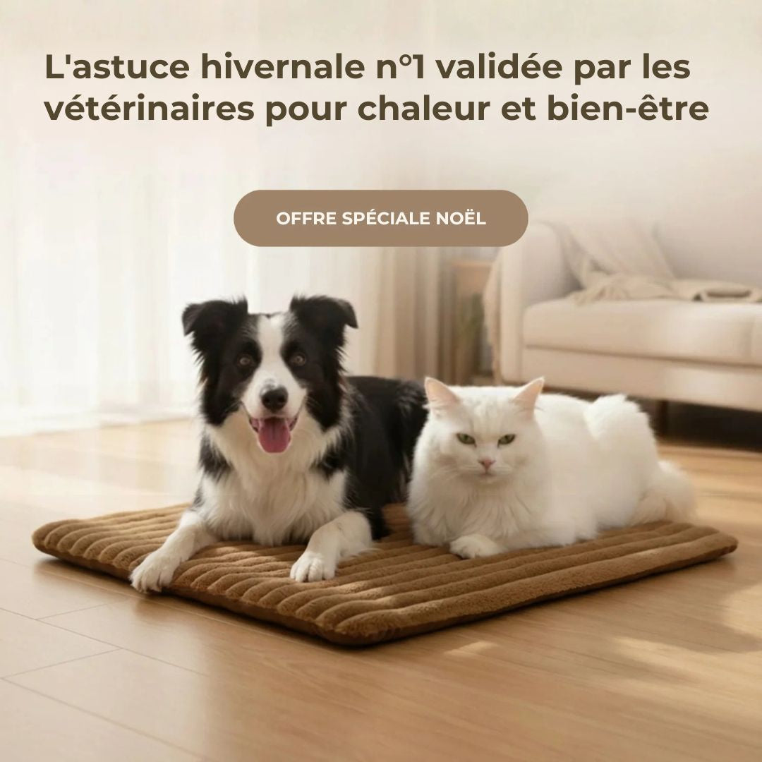 Tapis CocoonWarm – Chaleur naturelle pour chien & chat