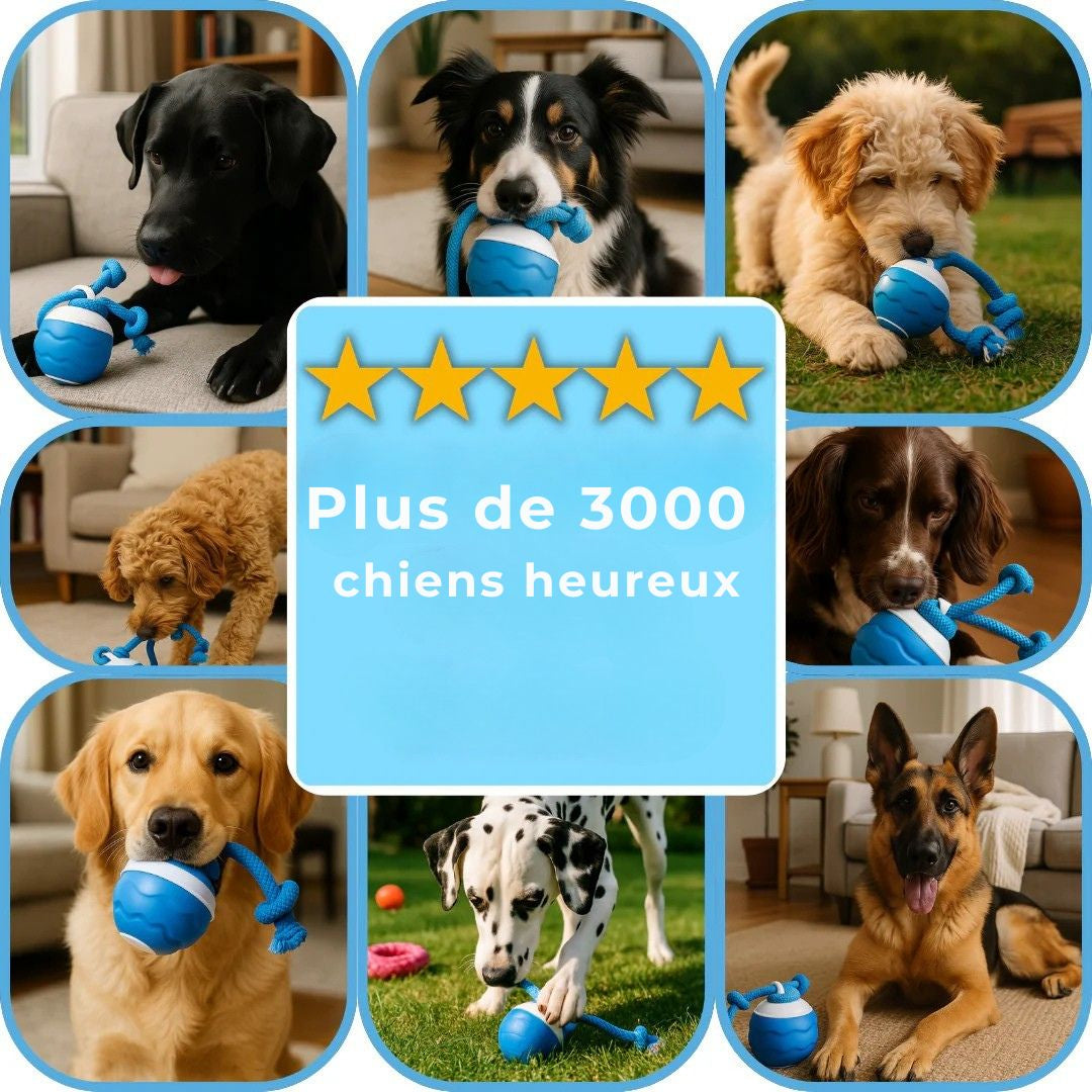 Balle InterActive™ – Le jouet qui occupe et stimule votre chien sans effort
