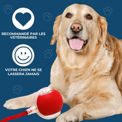 Power-Ball – La Balle Interactive Inarrêtable