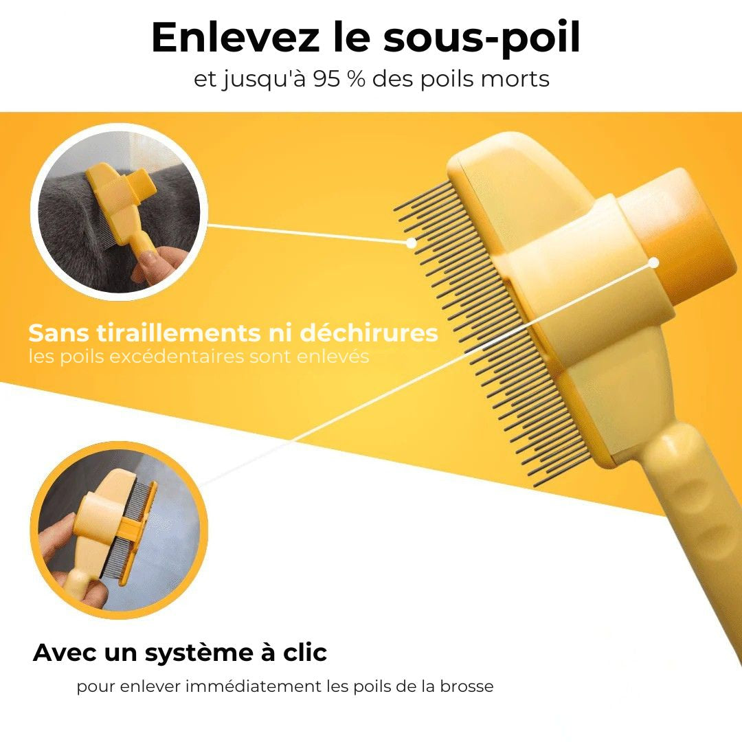 Brosse Anti-Poils Premium – Nettoyage Rapide & Doux pour Chats