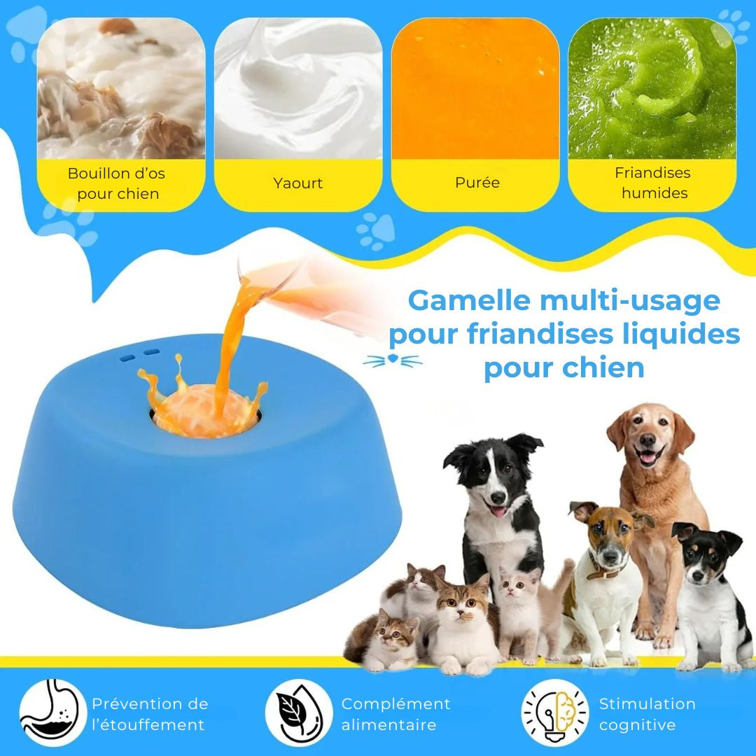 Gamelle anti-glouton pour chien – Des repas plus calmes, sans dégâts