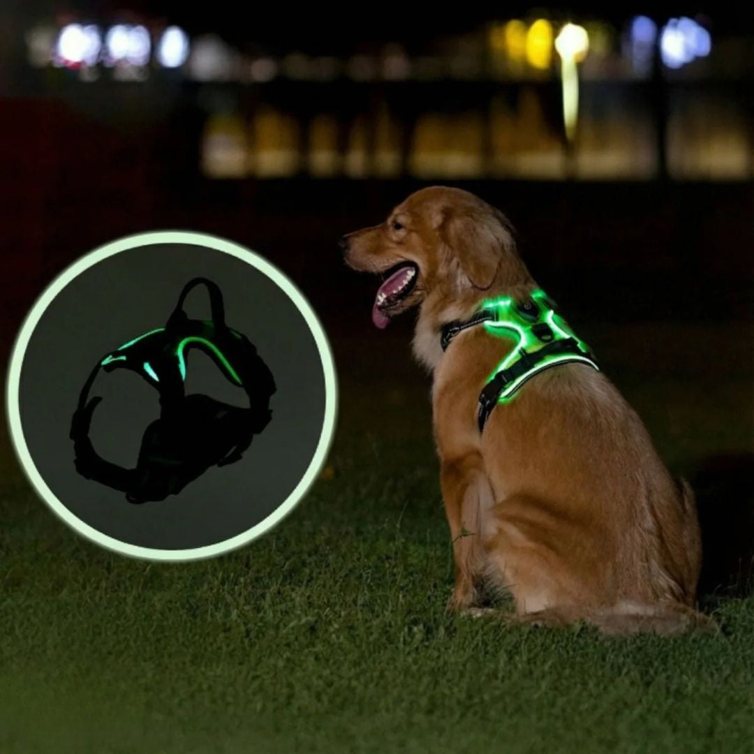 GlowGuard – Sécurité et visibilité pour les sorties nocturnes