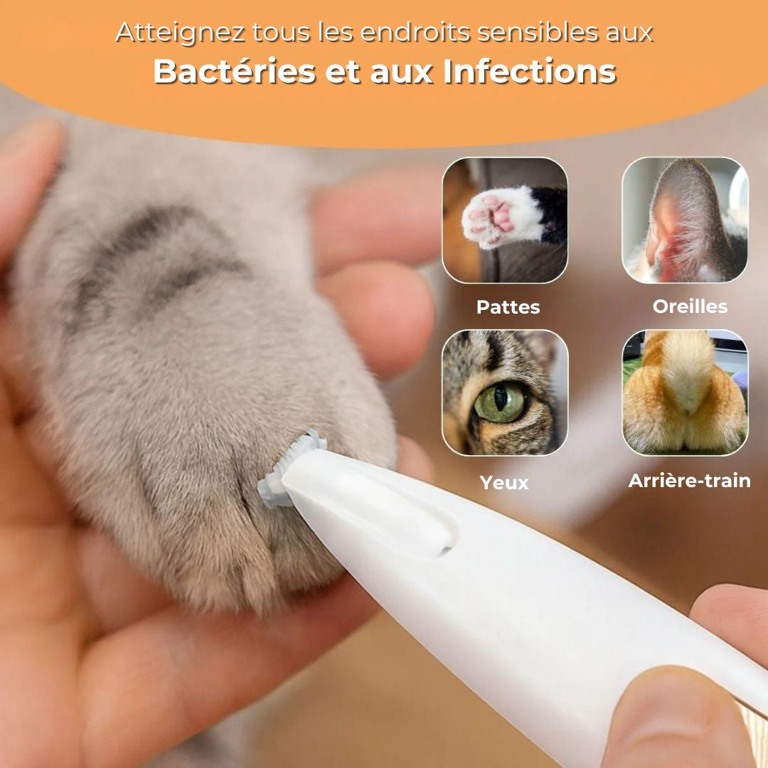 SoftPaws™ – Le soin doux et silencieux pour votre chat