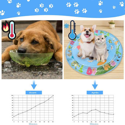 CoolPet Pool – Offrez à votre compagnon une pause fraîcheur