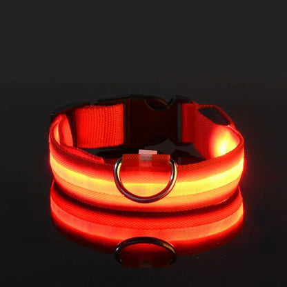 Collier LED pour chien – Assurez la sécurité de votre compagnon
